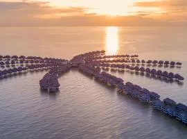 Golden Palm Tree Sepang