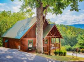 Bear Climbing Getaway, vila v destinaci Pigeon Forge