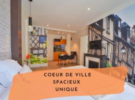 Puits de Jouvence, au coeur des commerces, alojamiento con cocina en Bourges