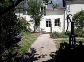 Au cœur des châteaux et des vignobles de la Loire