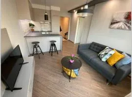 LUX 1BD/1BA City Center Apartment