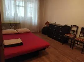 Квартира Добровольского, 105