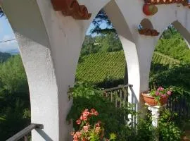 Il Giardino di Mai Exclusive B&b