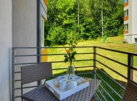 Stonowane i Eleganckie Apartamenty Sun Seasons 24 w Świeradowie Zdroju by Noclegi Renters
