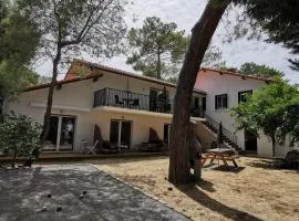 Jaray-Jaclo Chambres d' hôtes