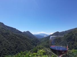 B&B La Locanda del Cinghiale, ξενοδοχείο σε Aurano
