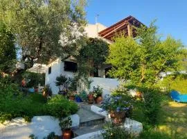 Sonia's House with Garden