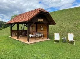 Wooden hut at tourist farm Artisek