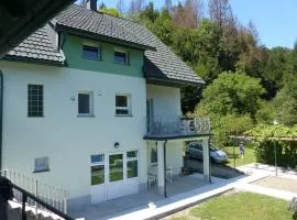 Riverside garden apartment Three Springs Tri Zvira