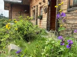 Berg Chalet 303