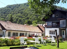 Pensiunea Mateo, guest house in Bran