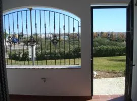 Impressive in ground floor with terrace of 2 rooms and pool