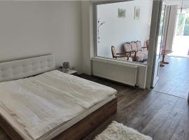 Neferprod Apartments - IS - CAM 07, holiday rental in Timişoara