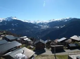 Chalet de la Yodine