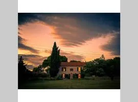 Maison Saraphina