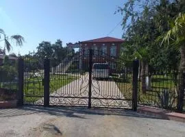 Guest House Danelia