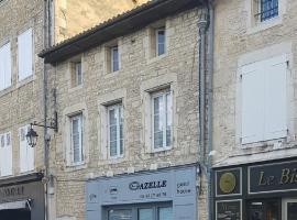 Gazelle Guest House and Art Gallery