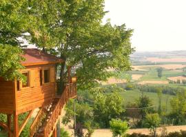 Casa sull'Albero Aromantica – hotel w mieście San Salvatore Monferrato