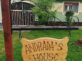 Andrada's House Soars, farm stay in Şoarş