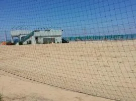 MeA casamarina