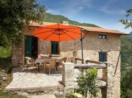 Casa Berti - Urlaub im Olivenhain