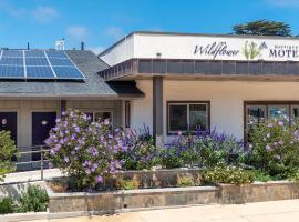 Wildflower Boutique Motel, motel di Point Arena