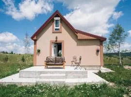 The Meadow cabin