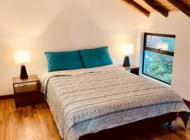 Bellisimo chalet en Zona Colonial (302)