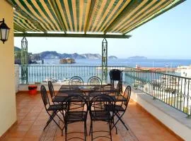 Maridea - Pesce Azzurro