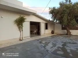 Casa degli Spartani Pina