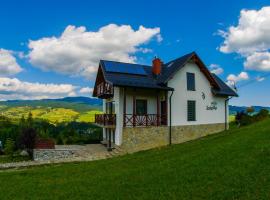 Willa Jaskółka, Hotel in Hałuszowa