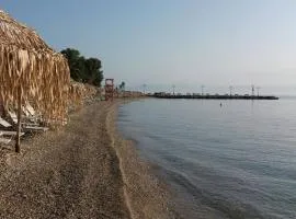 Seafront apartment
