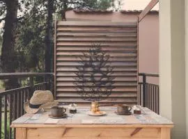 House Ekton