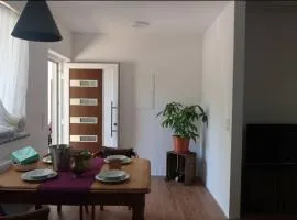 Grüner Baum ferienwohnung