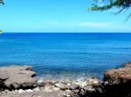 Paradise Bay