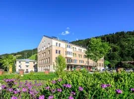 JUFA 호텔 슐라드밍