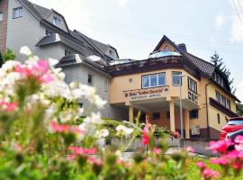 Hotel Schöne Aussicht, hotelli kohteessa Steinach lähellä maamerkkiä Skiarena Silbersattel