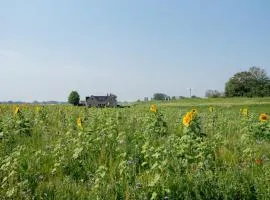 Vakantiewoning Oer it fjild