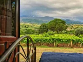 Suite in vigneto