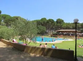 Europe tents camping Begur