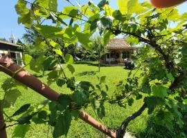 Valchid Guest House