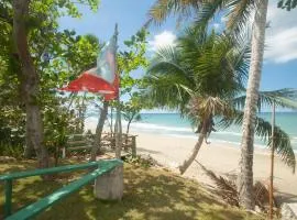 Beachfront Apt on Aguada-5min from Rincon