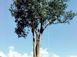 Mari Pai Resort, aldeamento turístico em Pai