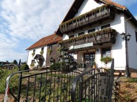 Hotel-Pension Flechsig, hotel with parking in Hartmannsdorf bei Kirchberg.