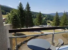 Le balcon de villard