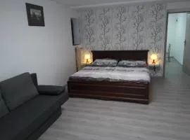 Apartman V Podbabe