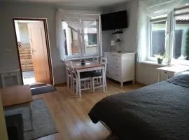 Dom gościnny Ania, Apartament nr 7