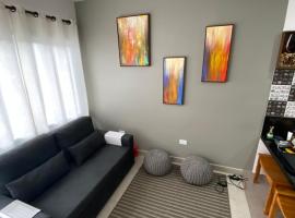 Apto Novo Duplex em Juqhey, apartment in Juquei