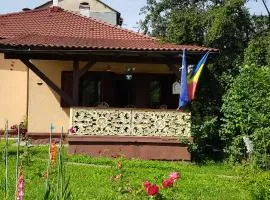 La Mihai