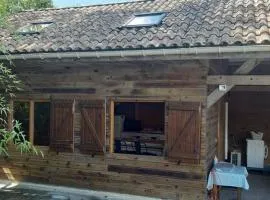 la cabane au fond du jardin